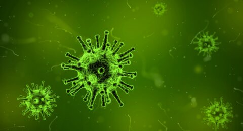 Viruszellen auf grünem Hintergrund