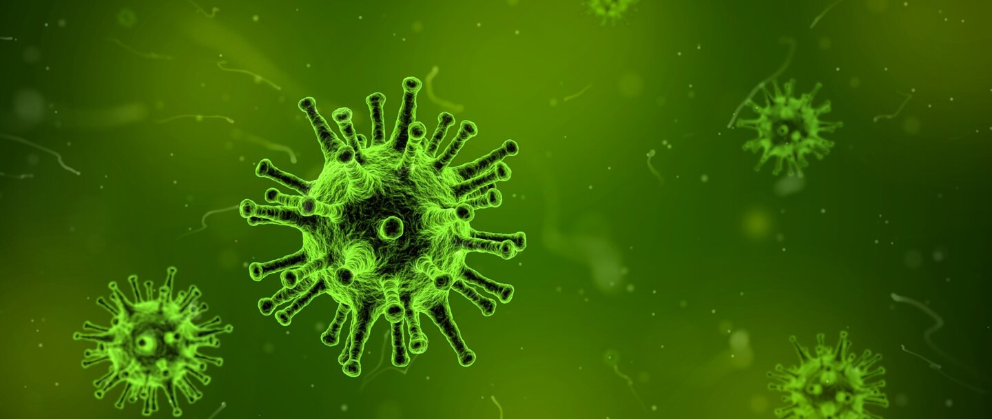 Virus cells on green background